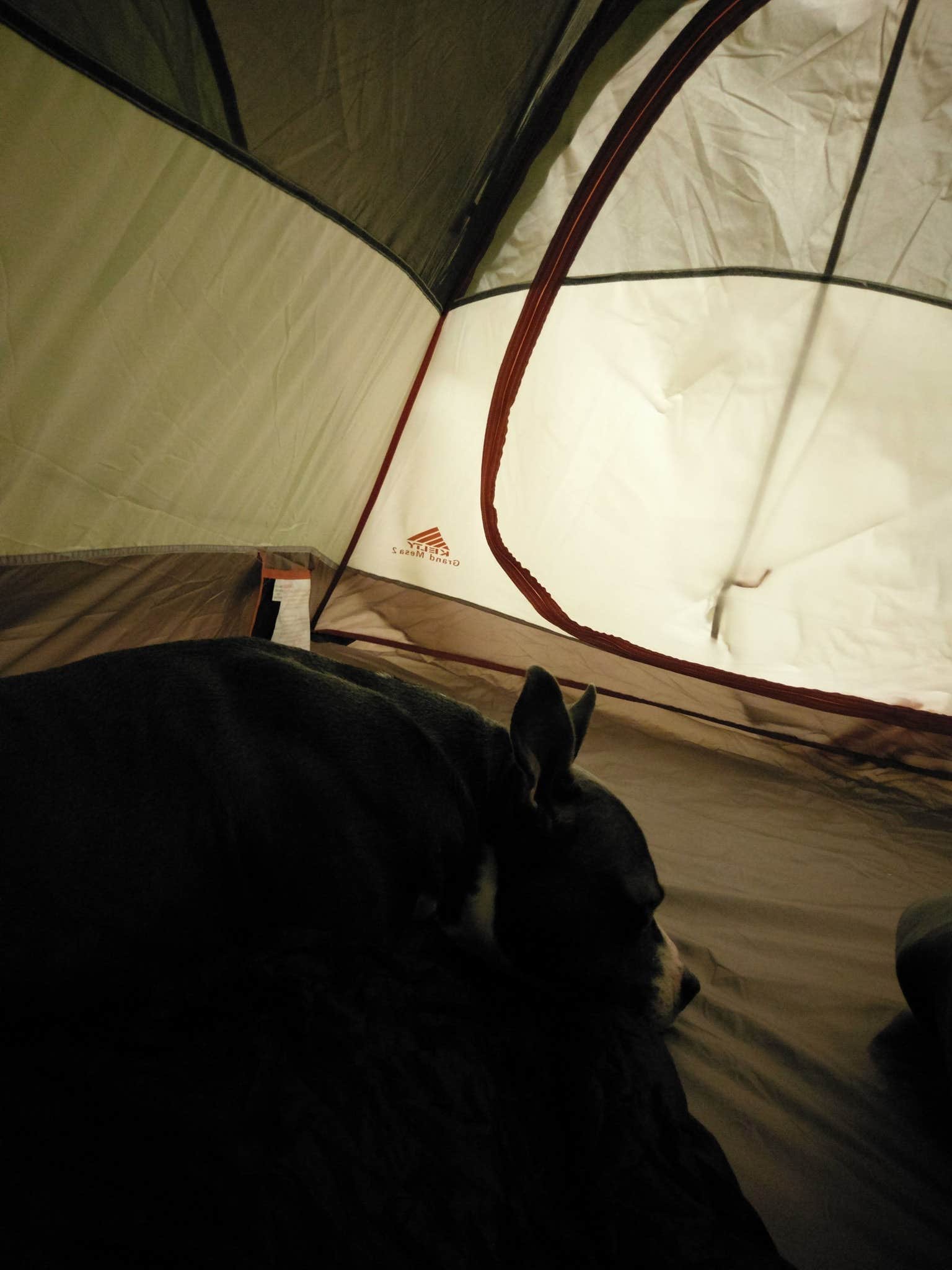 John P.'s photo of camping with pets at Dreher Island State Park Campground near Gadsden, SC