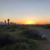 Review photo of Borrego Palm Canyon Campground — Anza-Borrego Desert State Park by Elly A., May 20, 2019