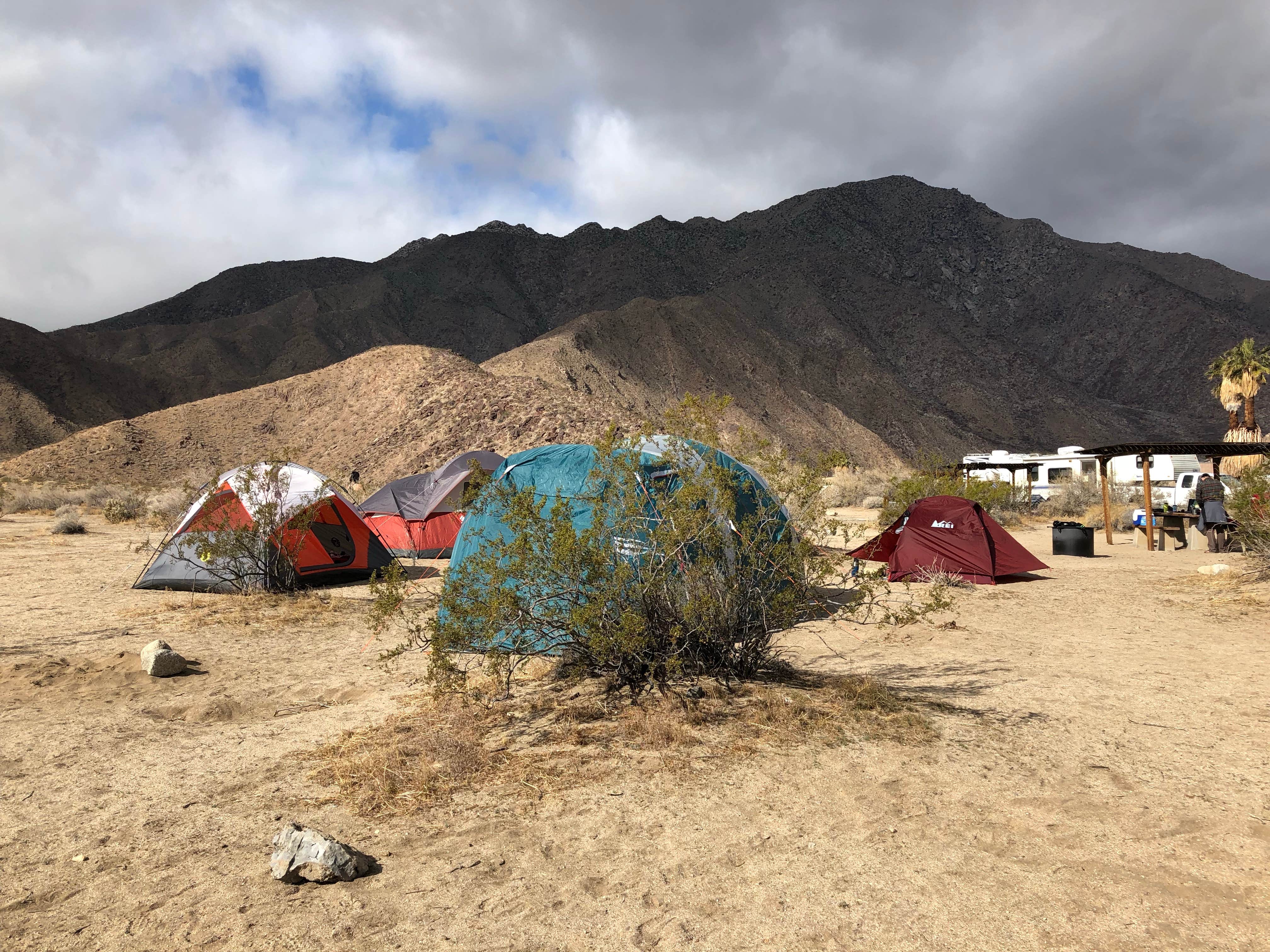Elly A.'s photo at Borrego Palm Canyon Campground — Anza-Borrego Desert State Park near Coolidge Springs, CA