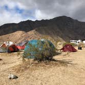 Review photo of Borrego Palm Canyon Campground — Anza-Borrego Desert State Park by Elly A., May 20, 2019