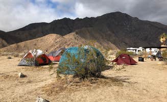 Elly A.'s photo at Borrego Palm Canyon Campground — Anza-Borrego Desert State Park near Borrego Springs, CA