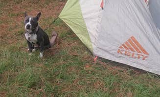 John P.'s photo of camping with pets at Asheville East KOA near Swannanoa, NC