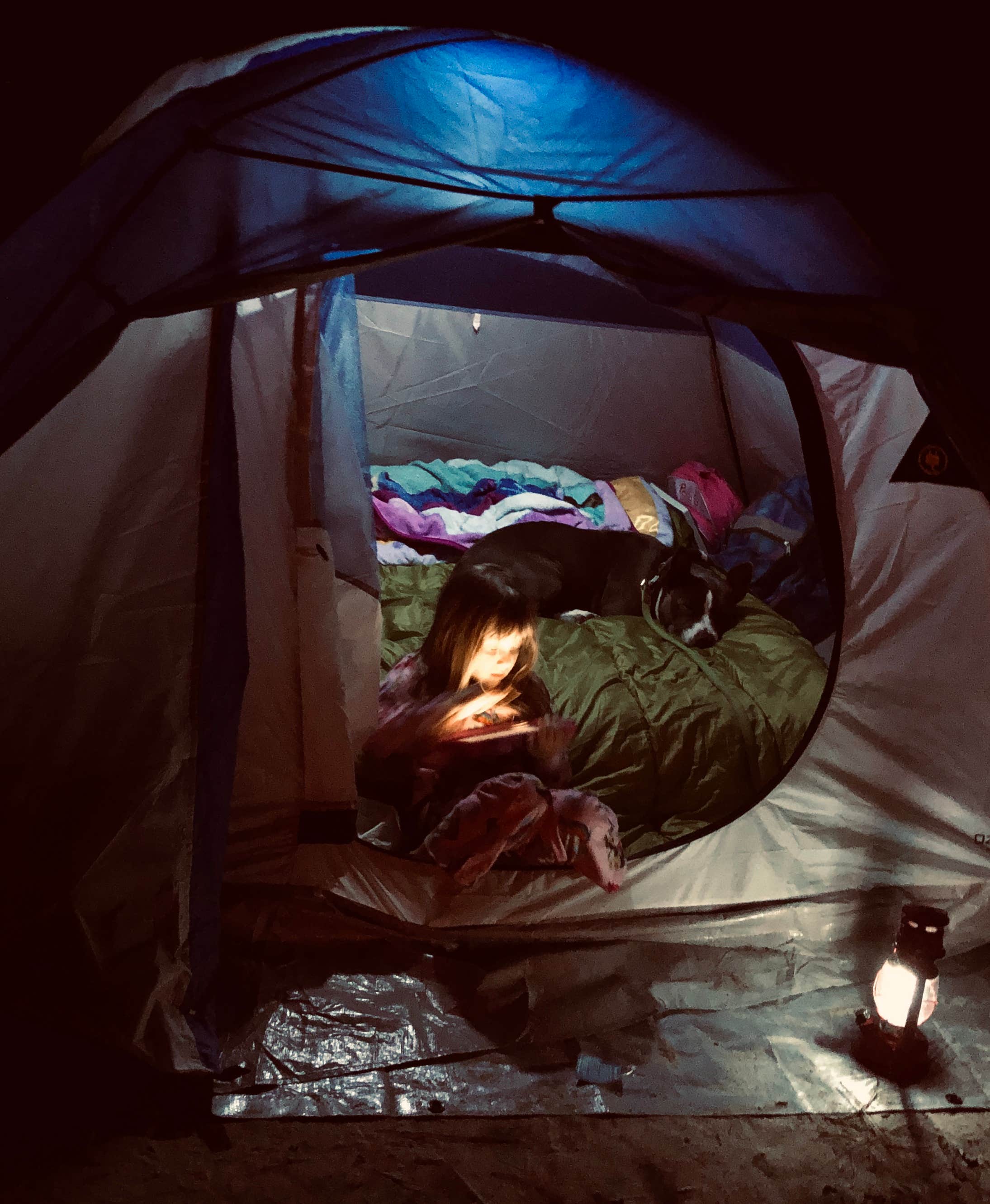 Camper-submitted photo at Lynches River County Park near Darlington, SC