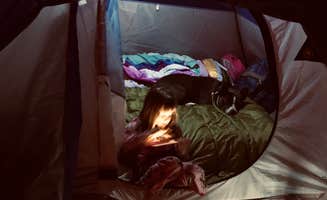 John P.'s photo at Lynches River County Park near Timmonsville, SC