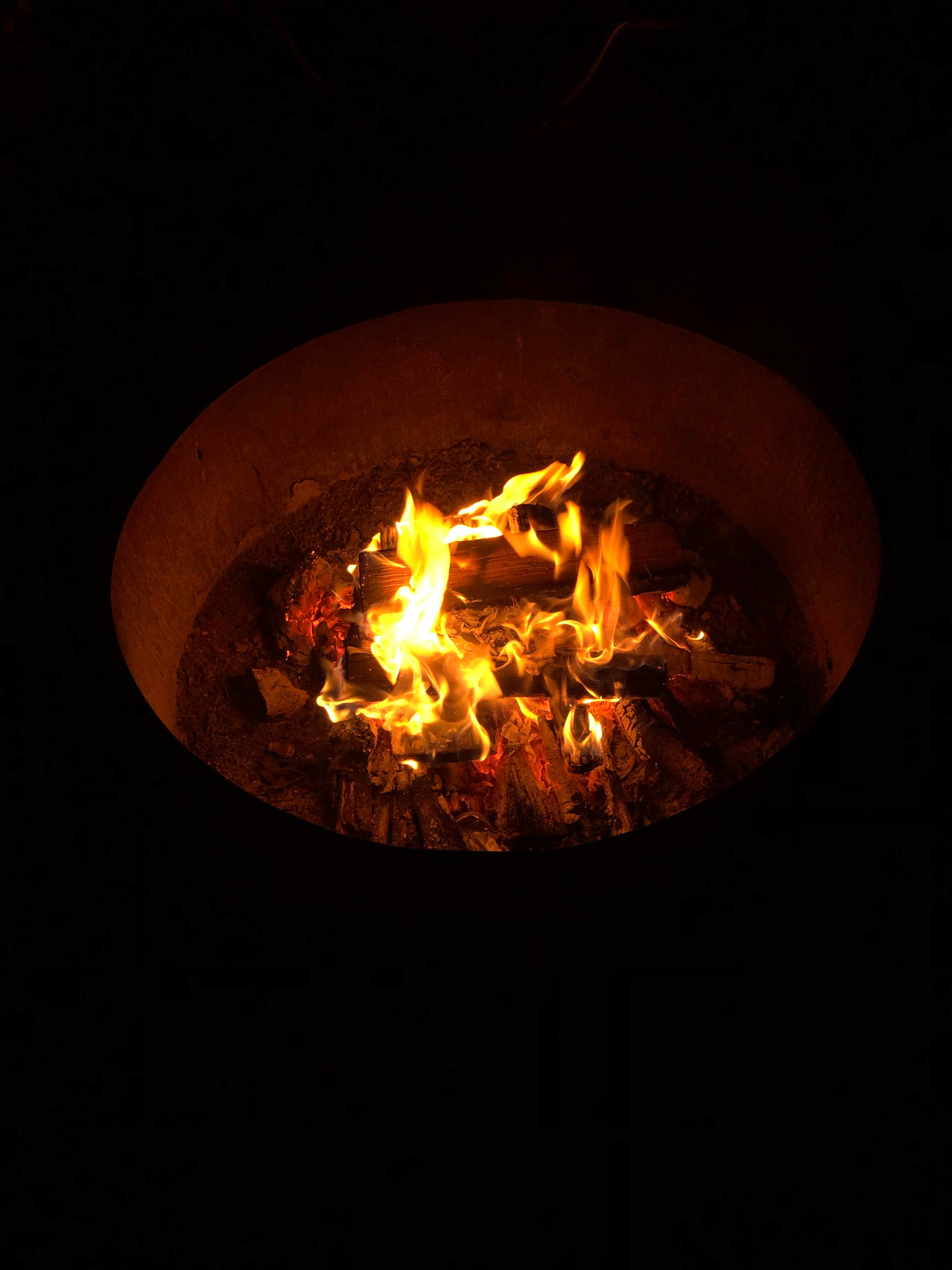 Camper-submitted photo at Lynches River County Park near Darlington, SC