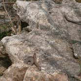 Review photo of Rock Island State Park Campground by Terry H., May 20, 2019