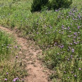 Review photo of Kerrville-Schreiner Park by Megan  E., May 20, 2019
