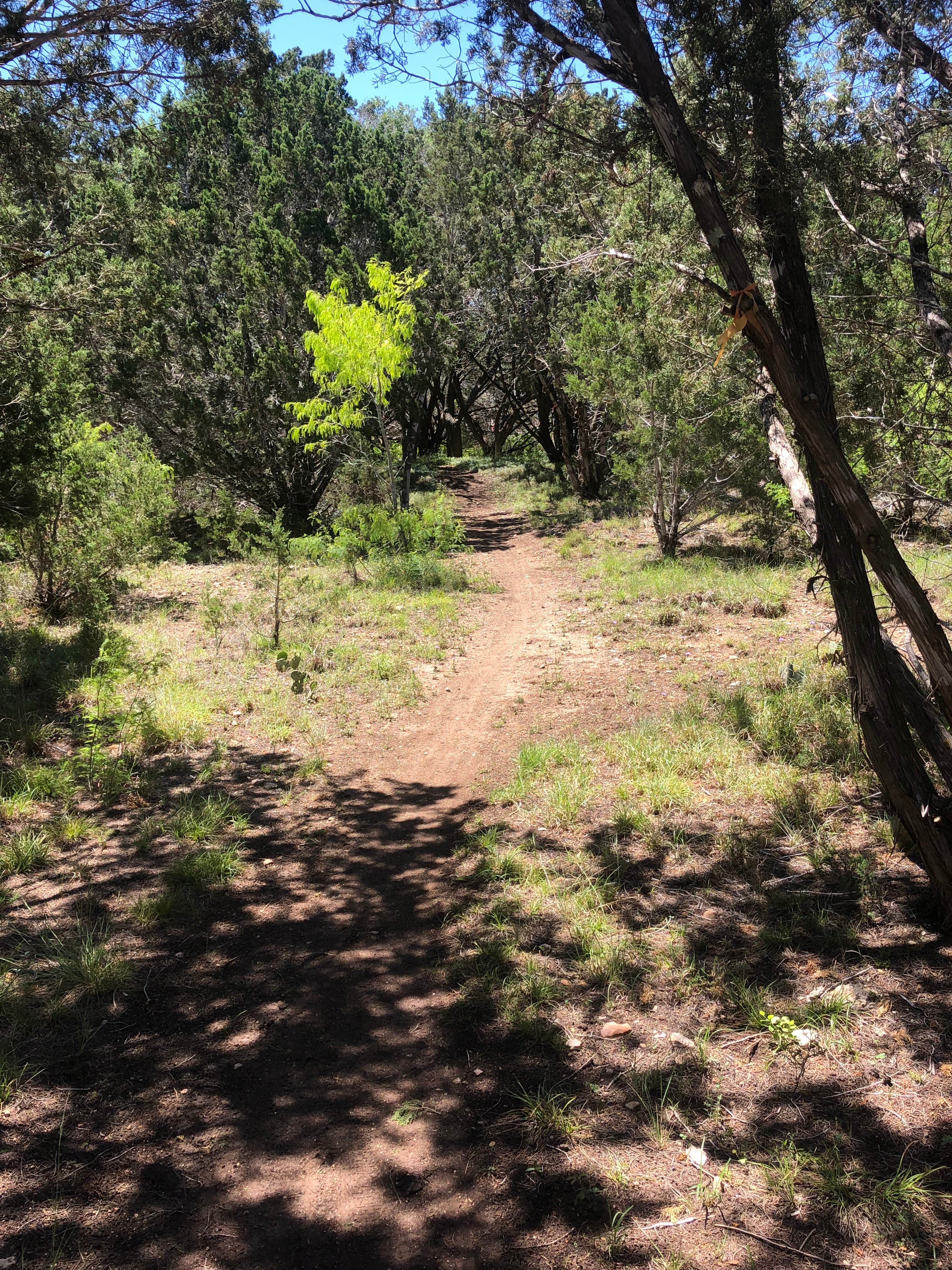 Camper submitted image from Kerrville-Schreiner Park - 5