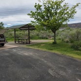 Review photo of Fruita Section Camping — Colorado River by janet H., May 20, 2019