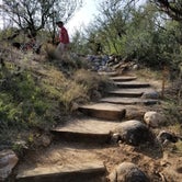 Review photo of Catalina State Park Campground by Krista Z., May 20, 2019