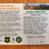 Review photo of Catalina State Park Campground by Krista Z., May 20, 2019