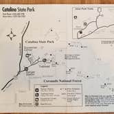 Review photo of Catalina State Park Campground by Krista Z., May 20, 2019