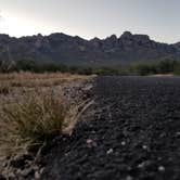 Review photo of Catalina State Park Campground by Krista Z., May 20, 2019