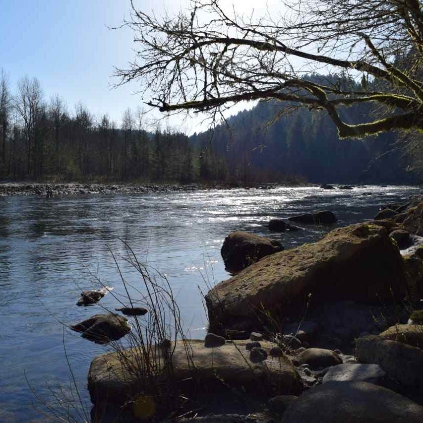 Nature
