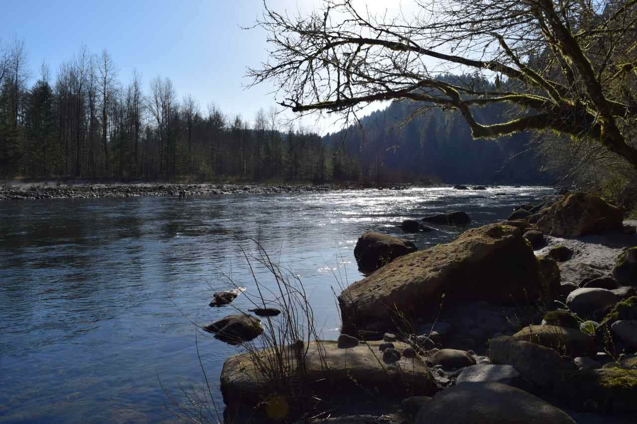 Camper submitted image from Oxbow Regional Park - 2