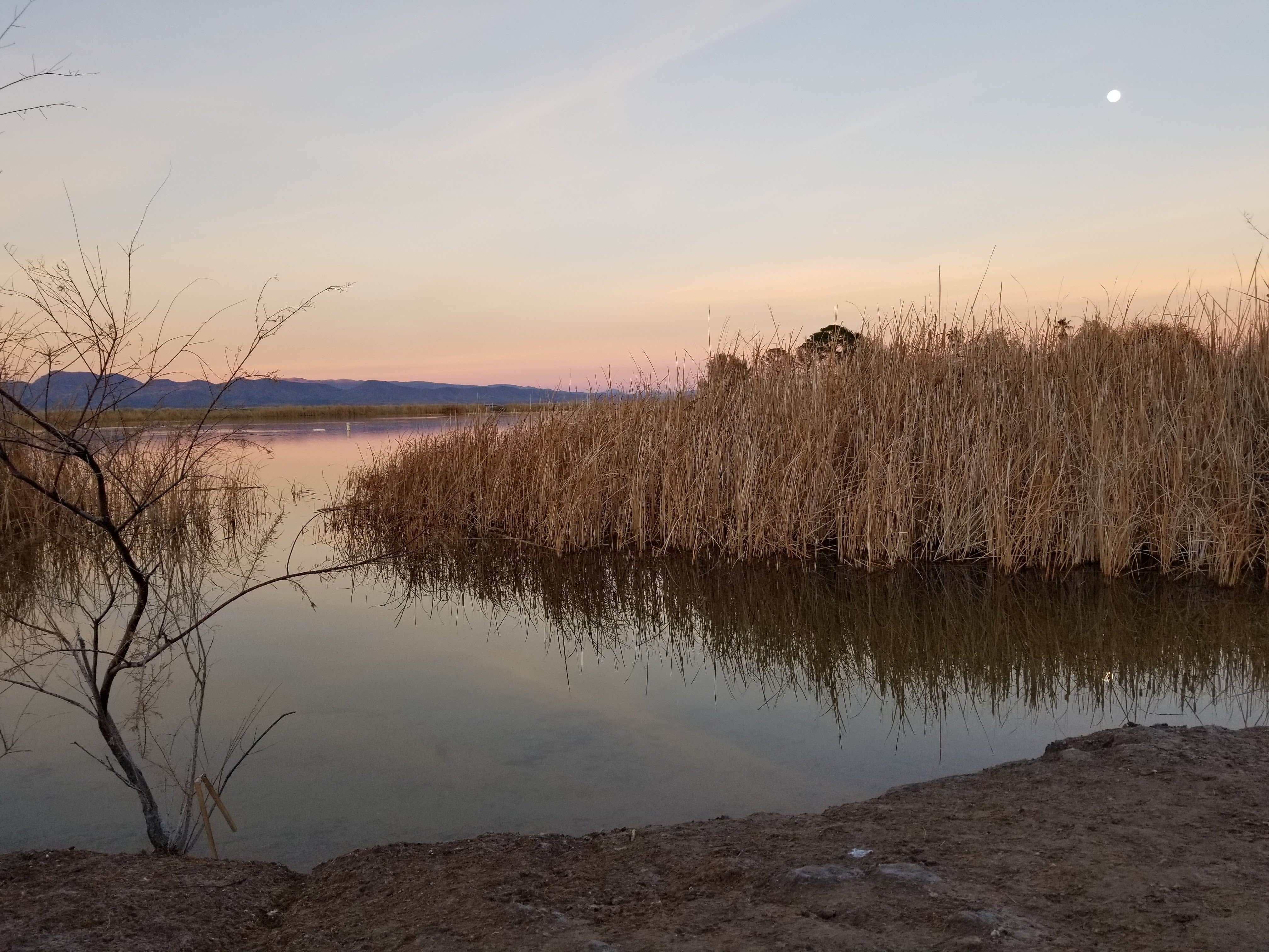 Camper submitted image from Hacienda Campground — Roper Lake State Park - 4