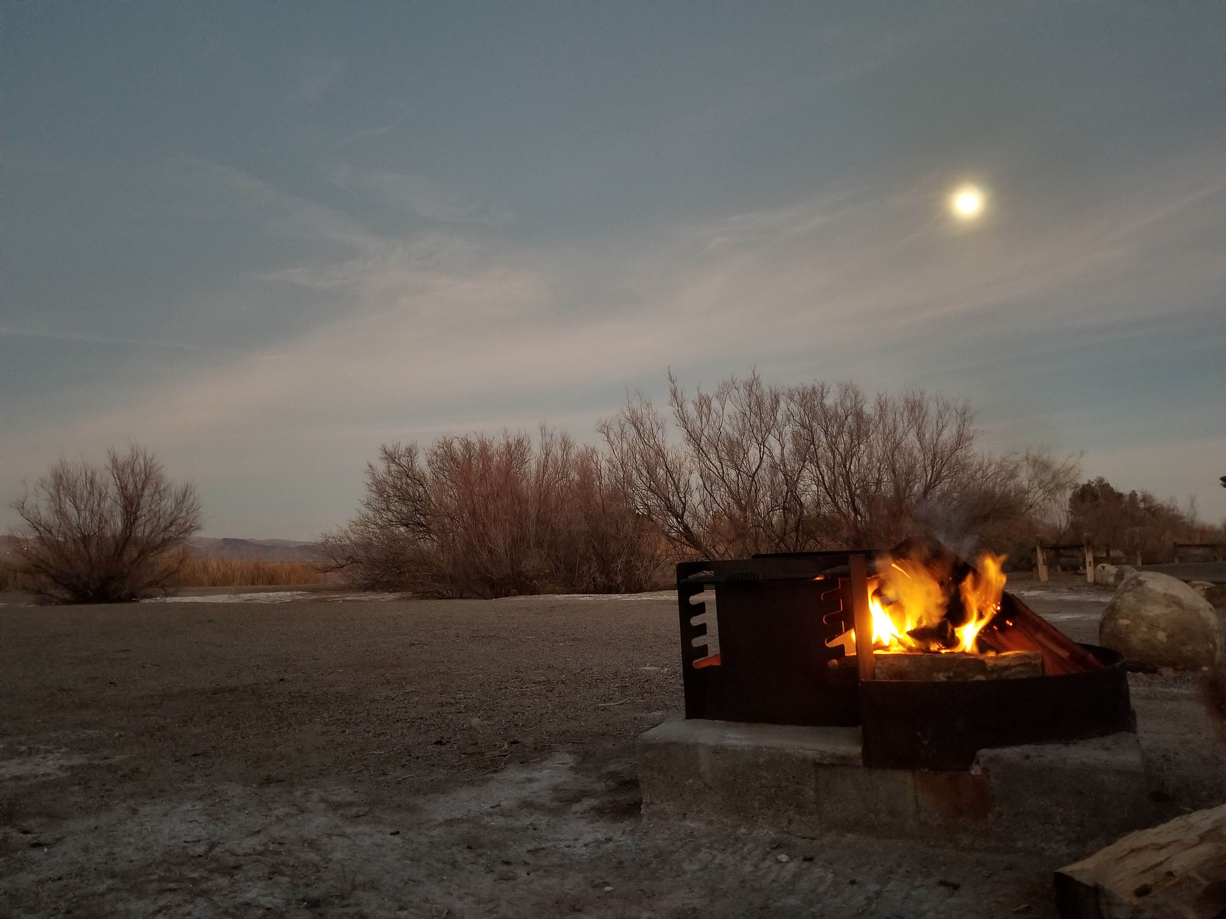 Camper submitted image from Hacienda Campground — Roper Lake State Park - 5