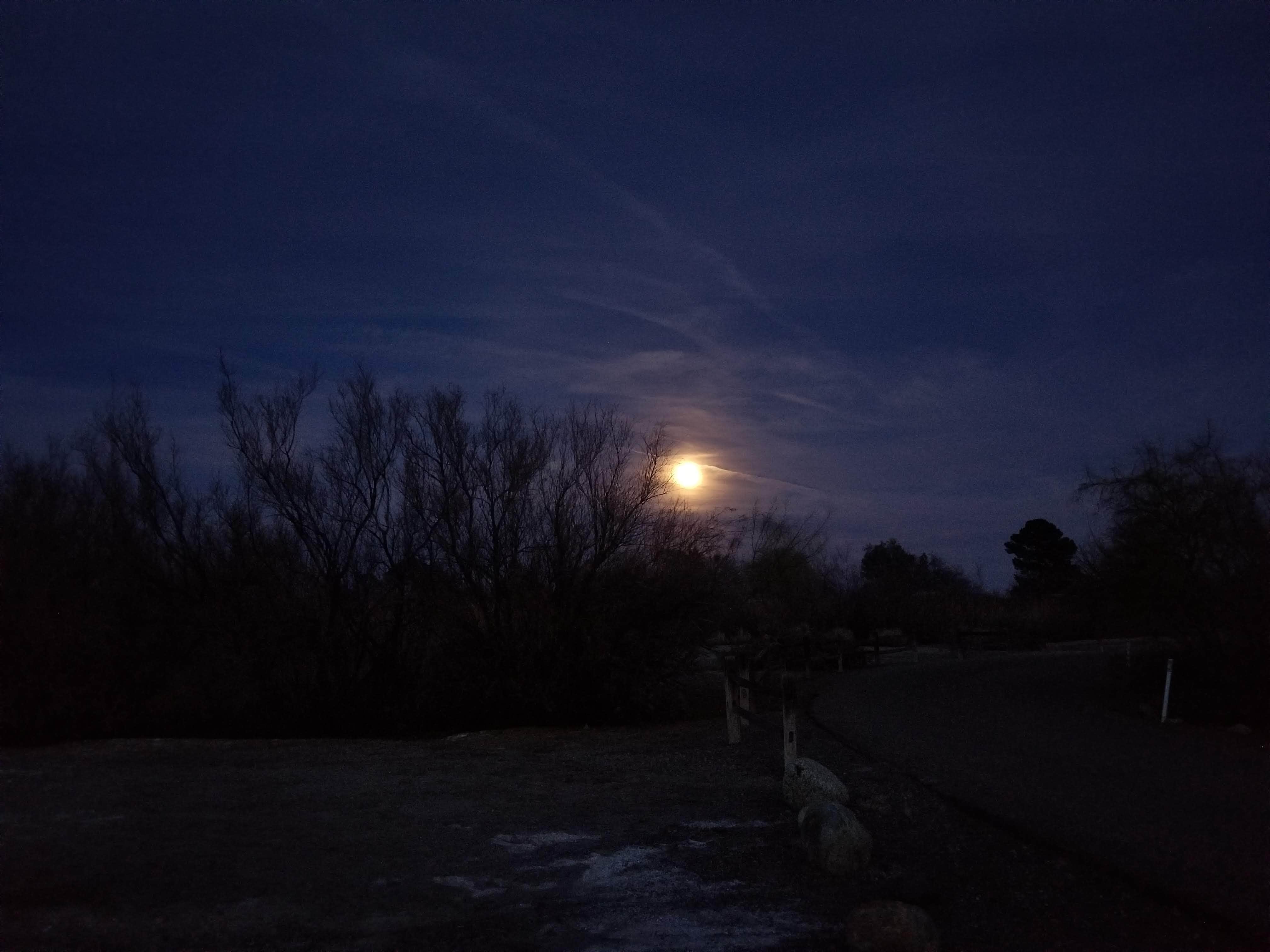 Camper submitted image from Hacienda Campground — Roper Lake State Park - 2