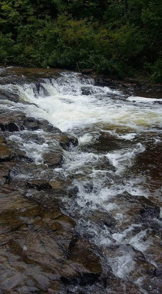 Camper submitted image from Ocqueoc Falls State Forest Campground - 3