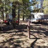 Review photo of Larson Ridge Camping Area by Krista Z., May 20, 2019