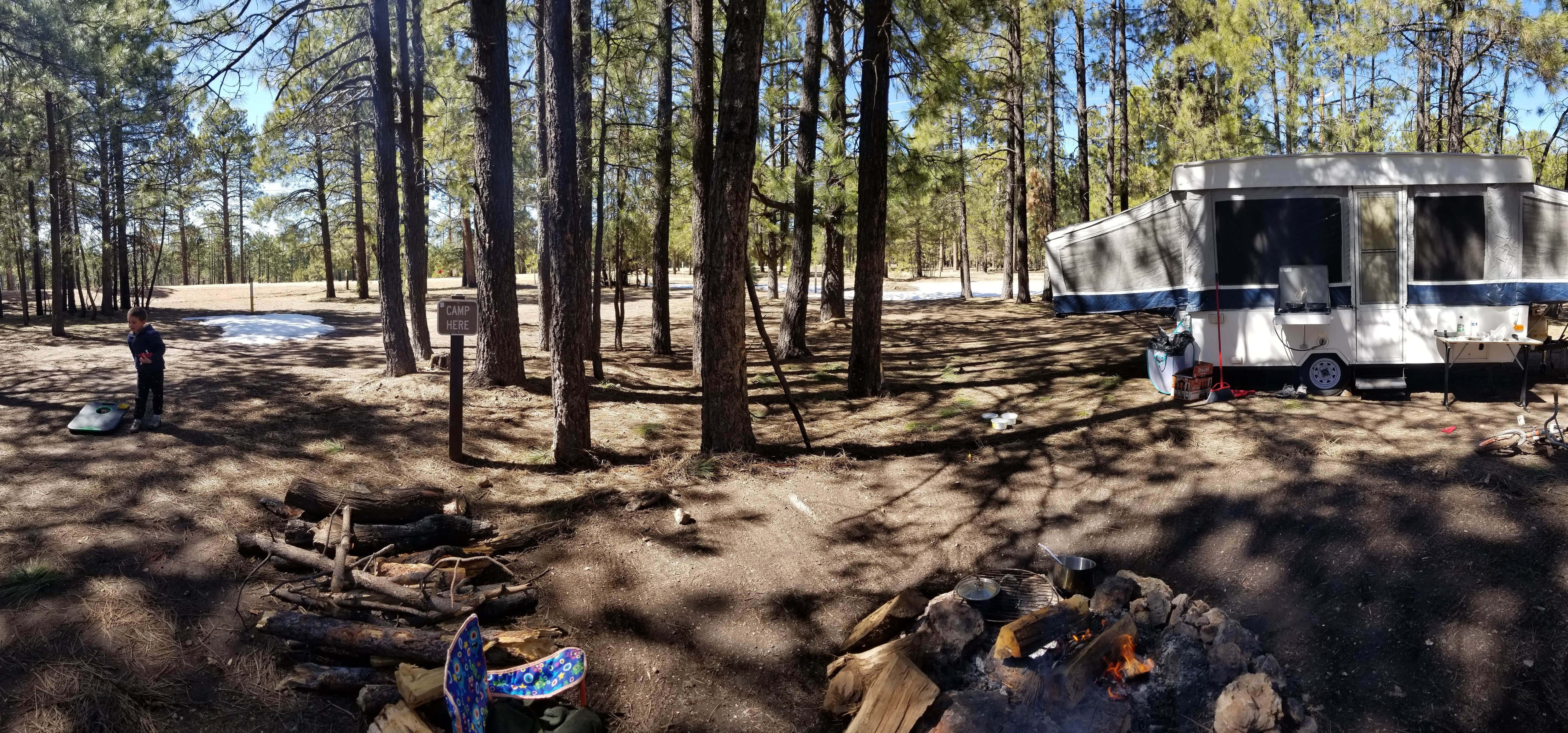 Camper-submitted photo at Larson Ridge Camping Area near Heber-Overgaard, AZ