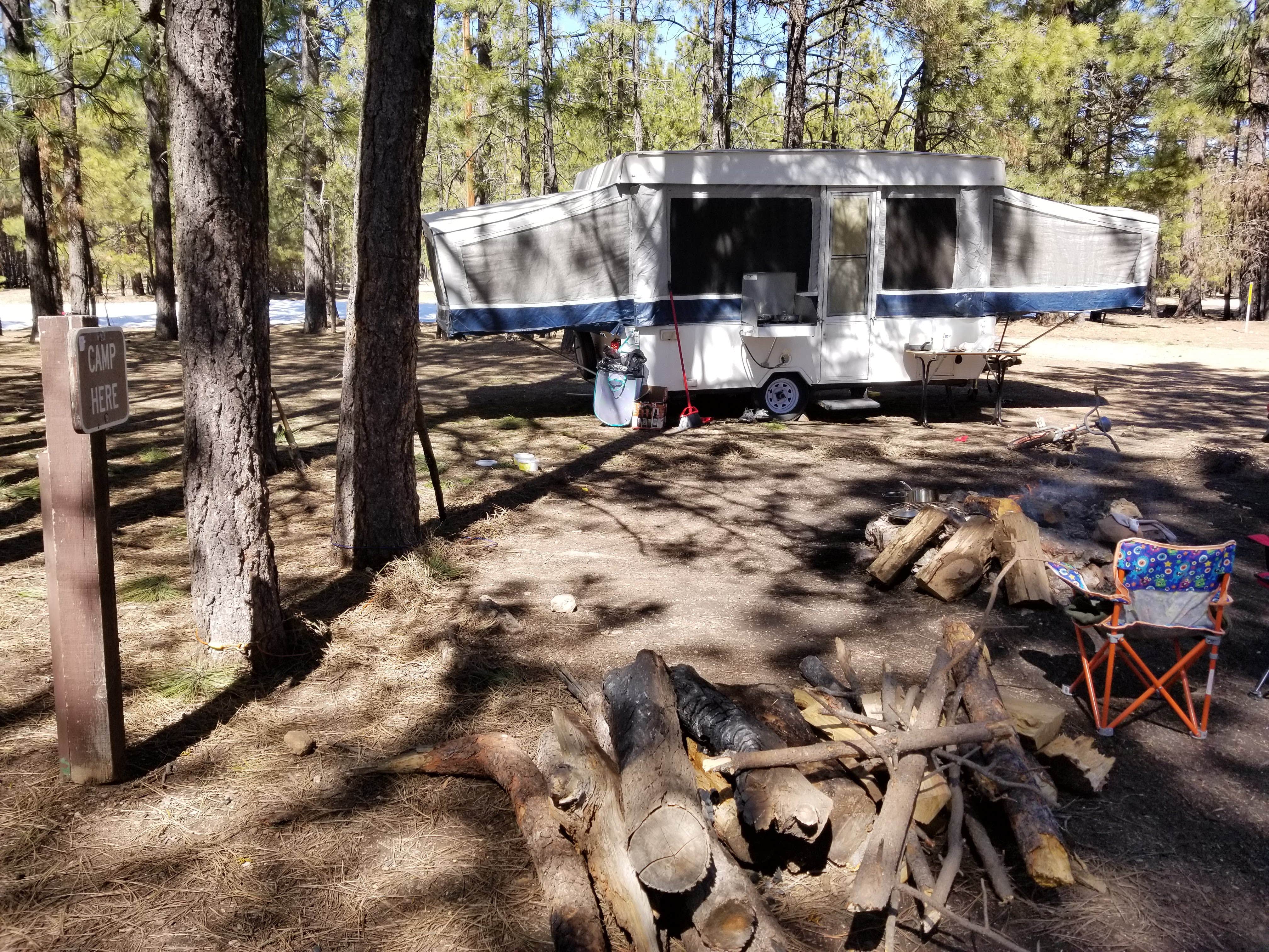 Camper-submitted photo at Larson Ridge Camping Area near Heber-Overgaard, AZ