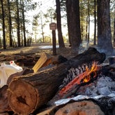 Review photo of Larson Ridge Camping Area by Krista Z., May 20, 2019