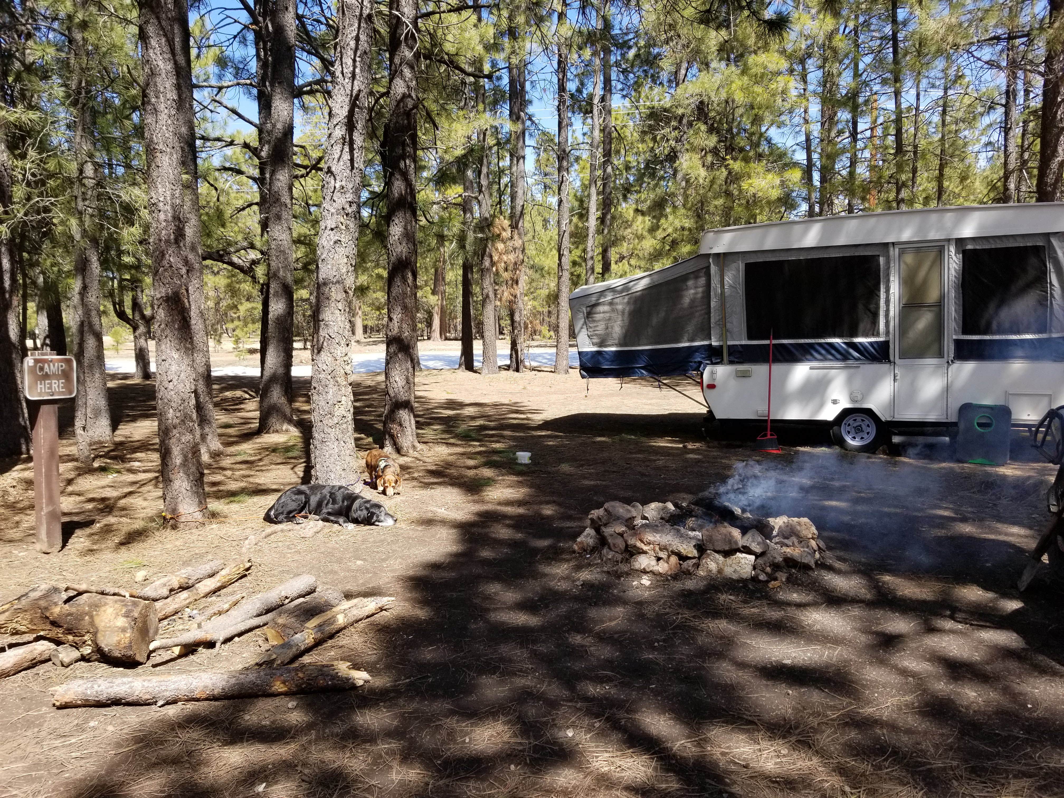 Camper-submitted photo at Larson Ridge Camping Area near Heber-Overgaard, AZ