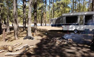 Krista Z.'s photo at Larson Ridge Camping Area near Heber-Overgaard, AZ