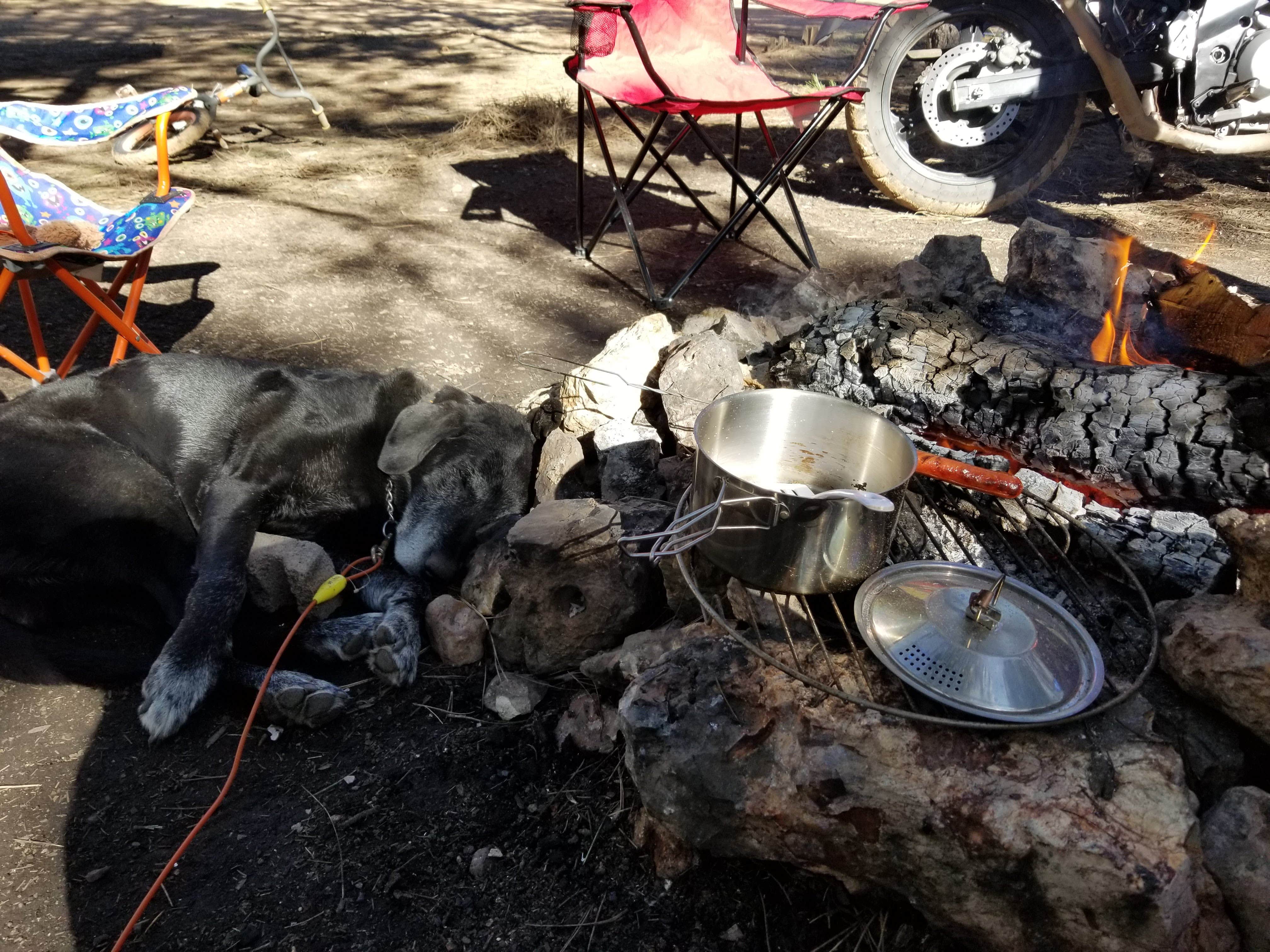 Krista Z.'s photo of a dispersed camping area at Larson Ridge Camping Area near Young, AZ