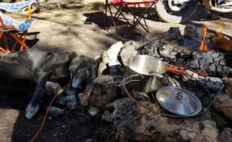 Krista Z.'s photo of a dispersed camping area at Larson Ridge Camping Area near Young, AZ