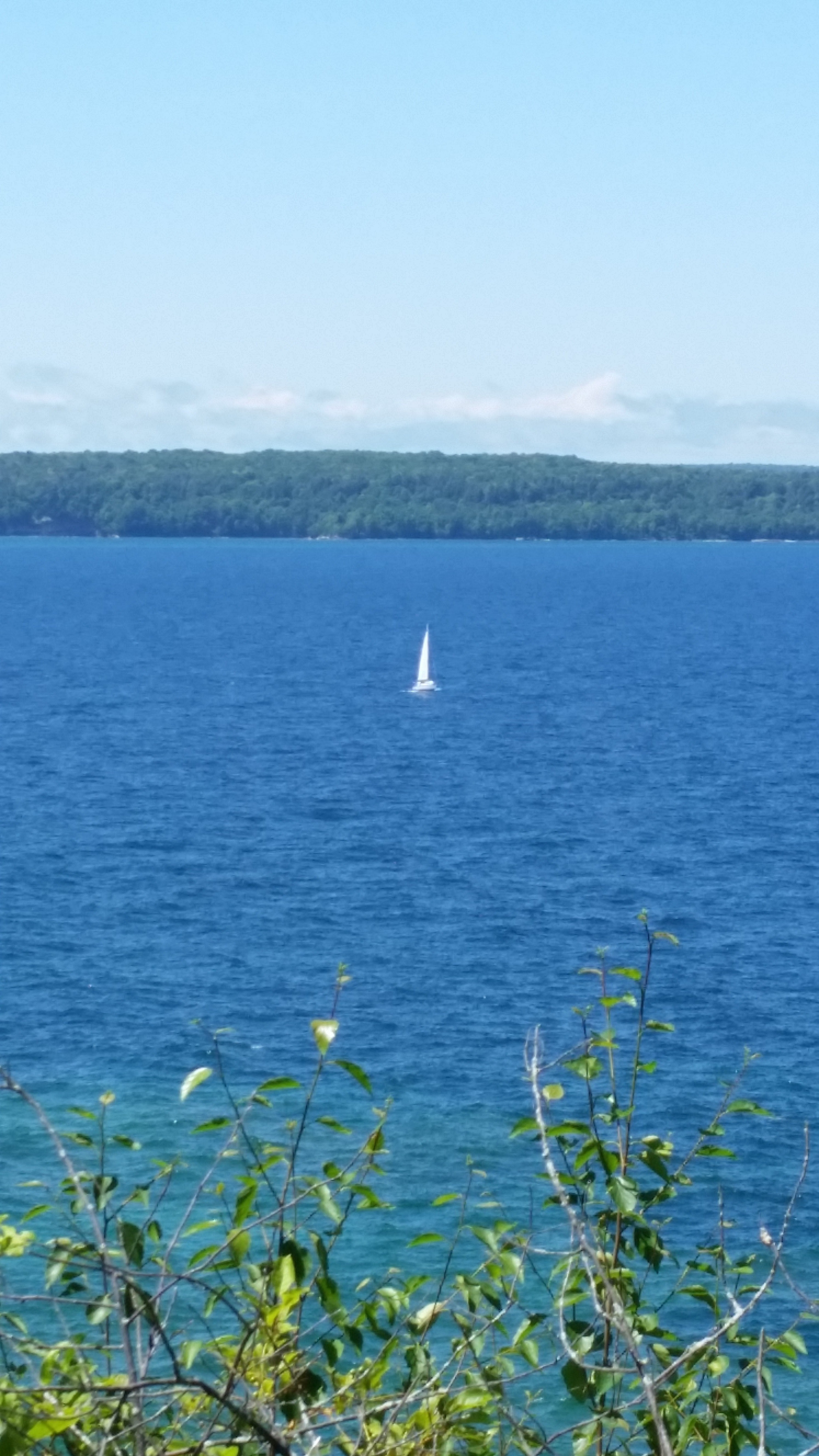 Camper submitted image from Petoskey State Park - 3