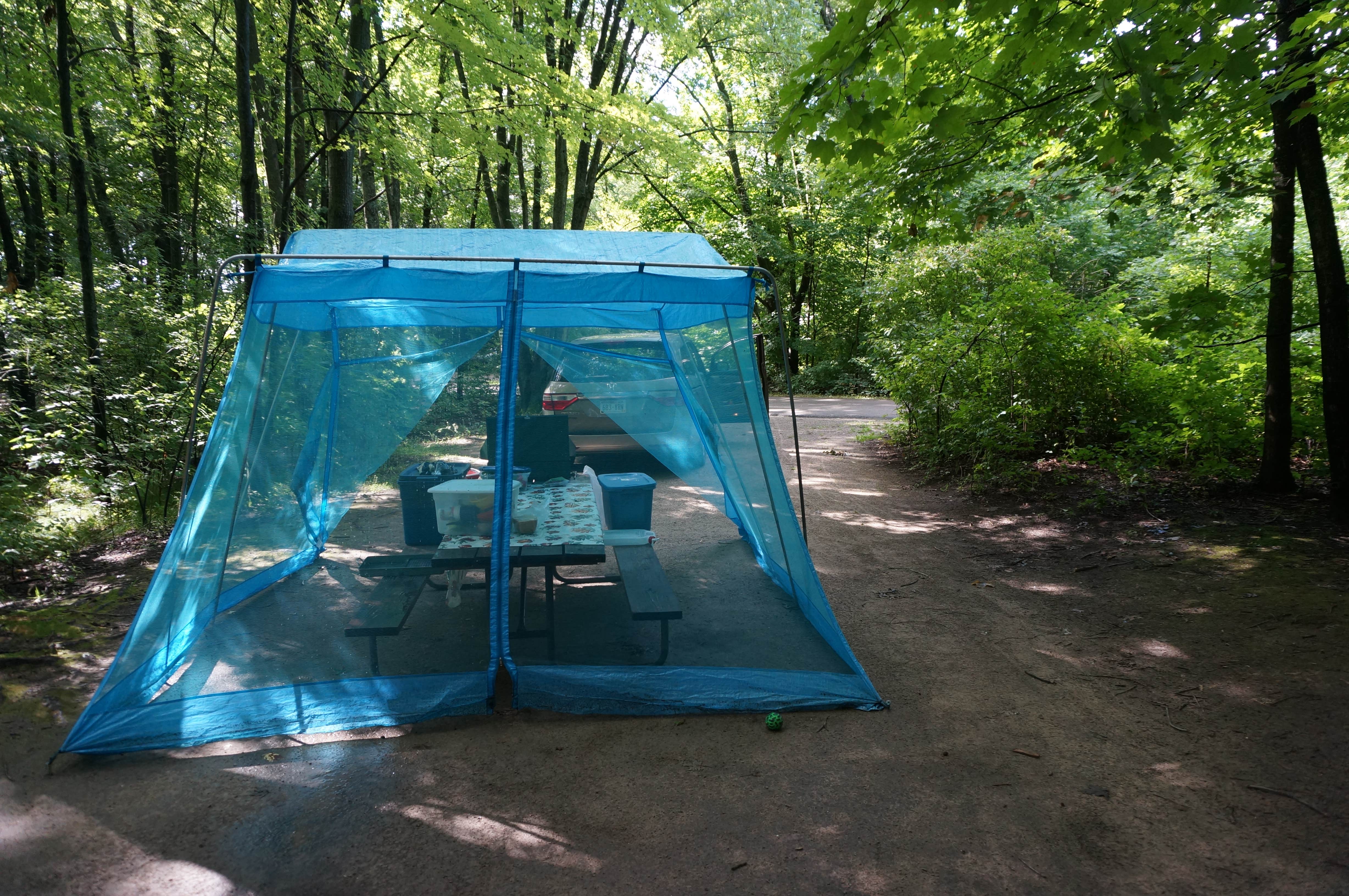 Camper submitted image from Hartman Creek State Park Campground - 3