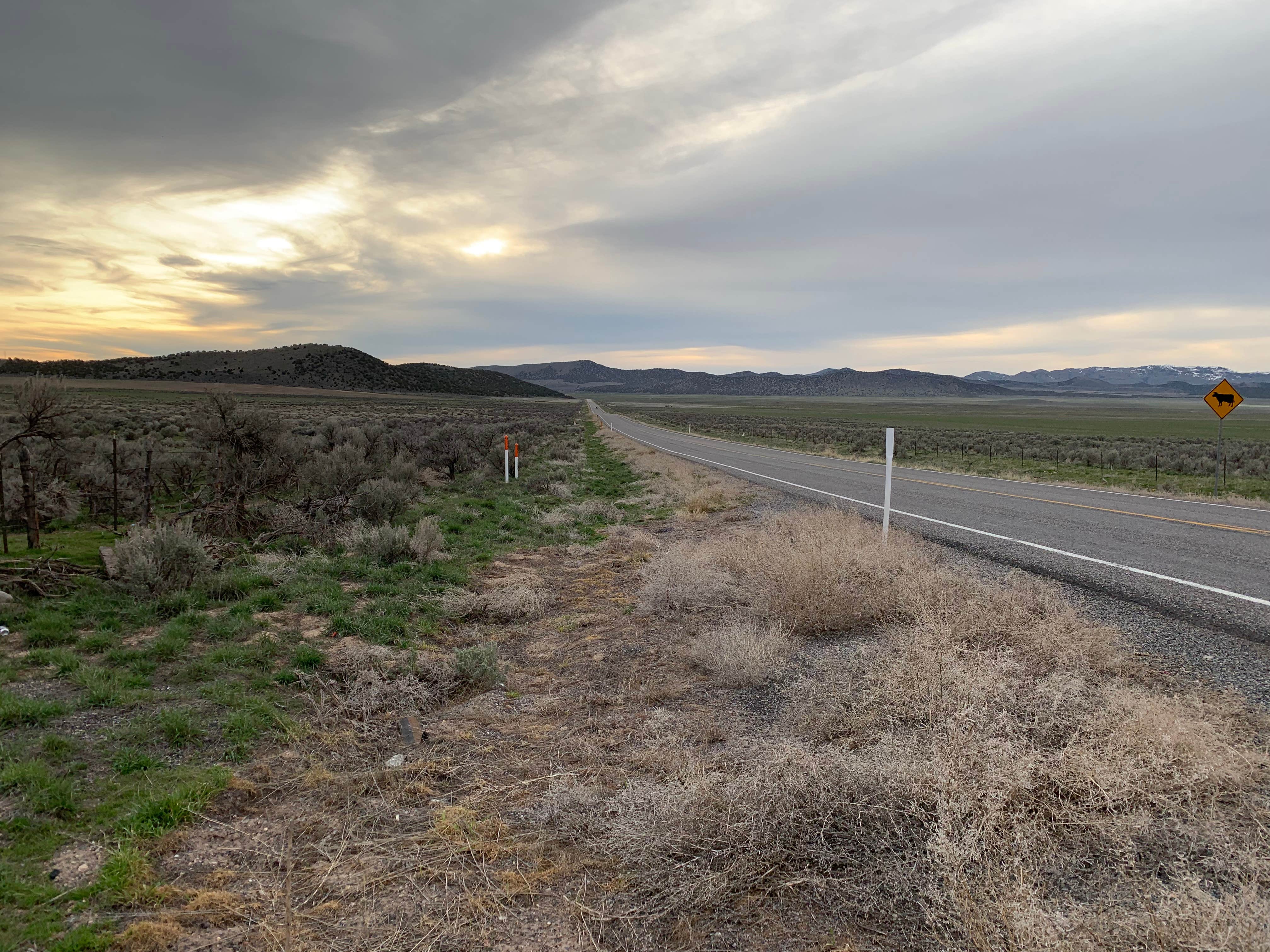 Camper submitted image from Antelope Valley RV Park - 2