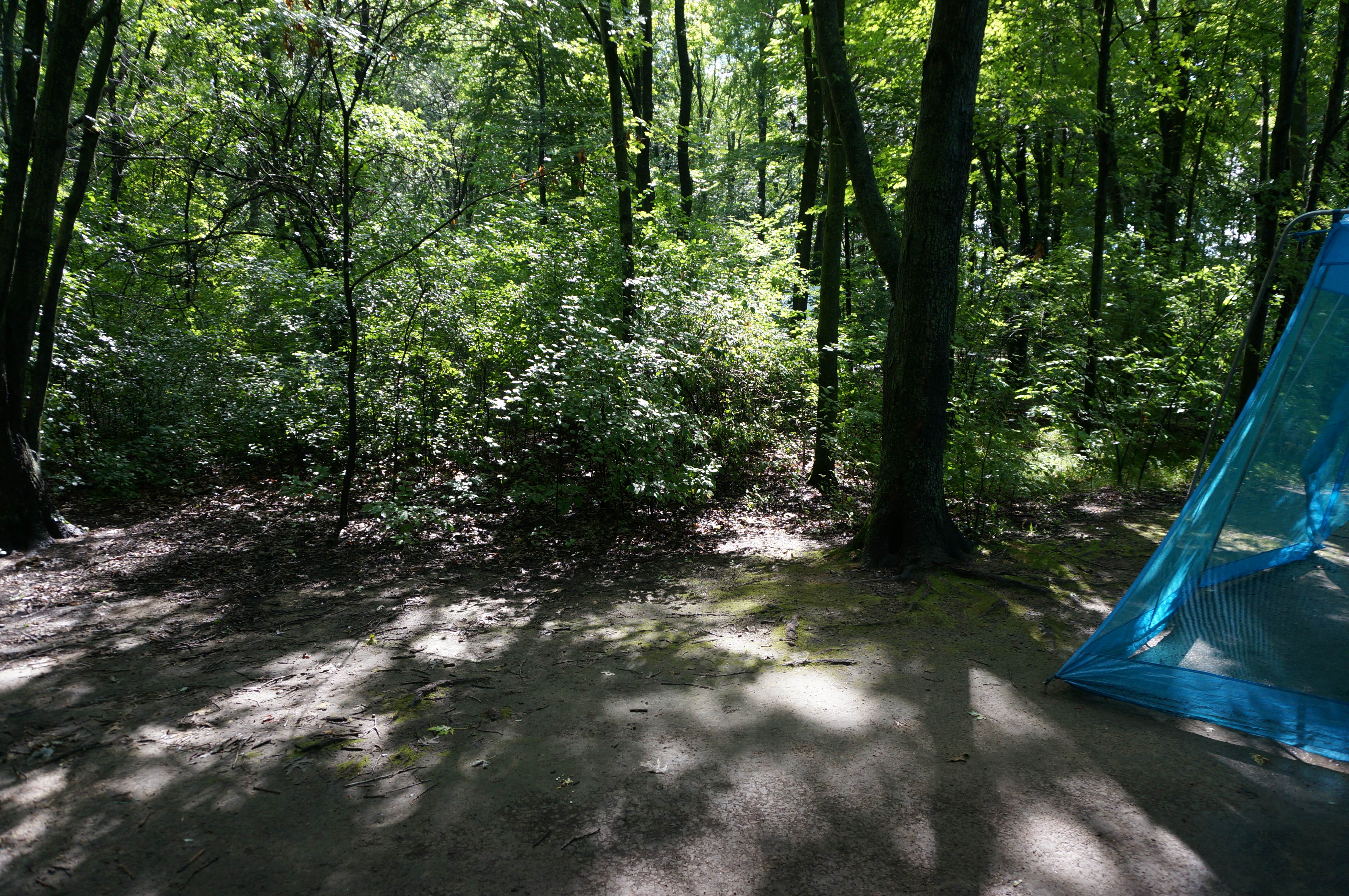 Jimmy P.'s photo at Hartman Creek State Park Campground near Coloma, WI