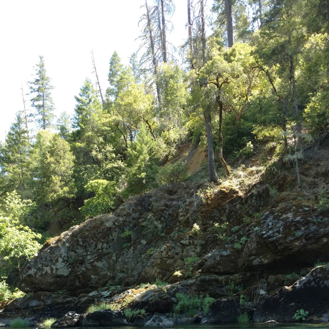 Store Gulch Campground | Selma, OR