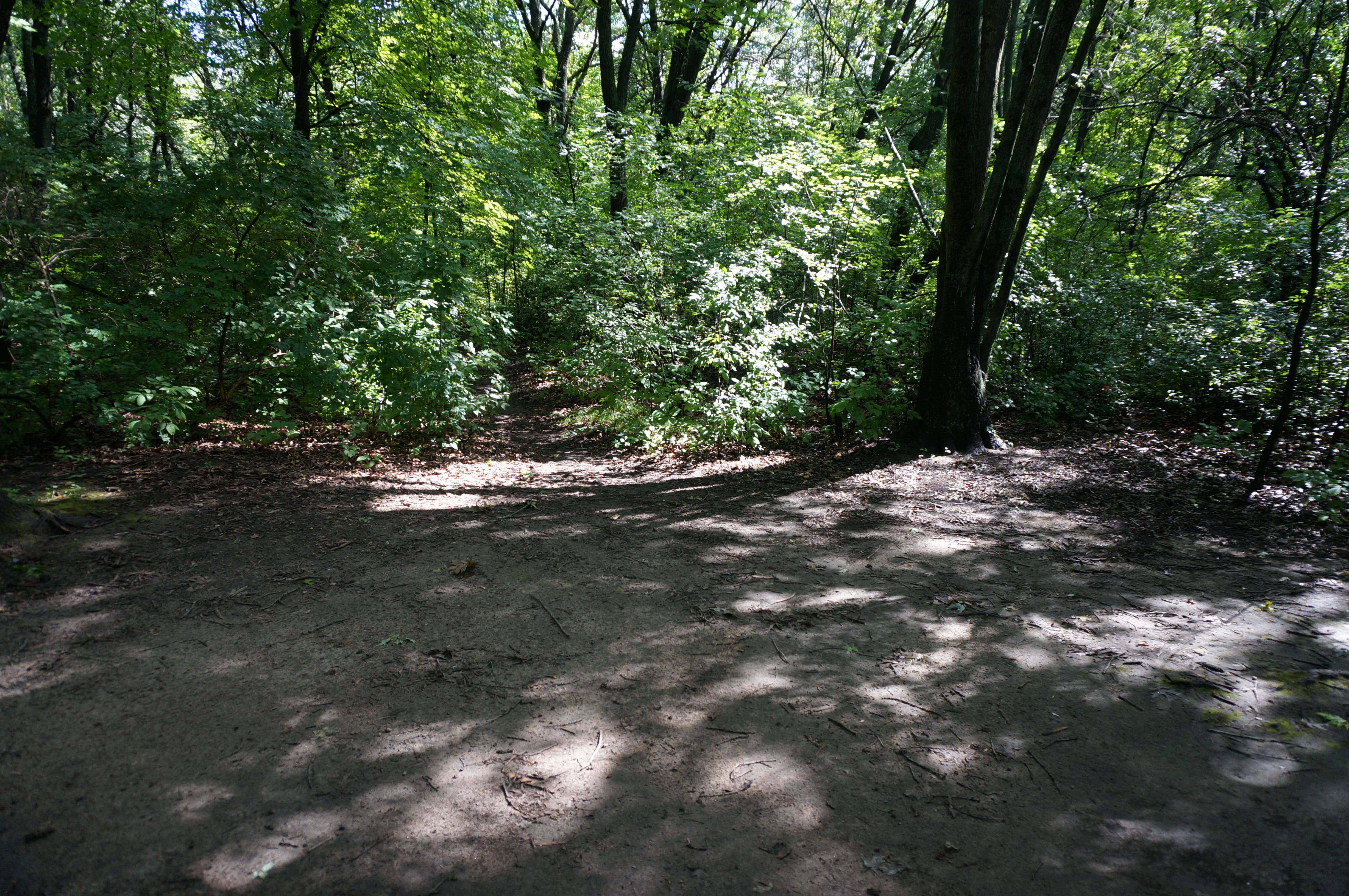 Camper submitted image from Hartman Creek State Park Campground - 2