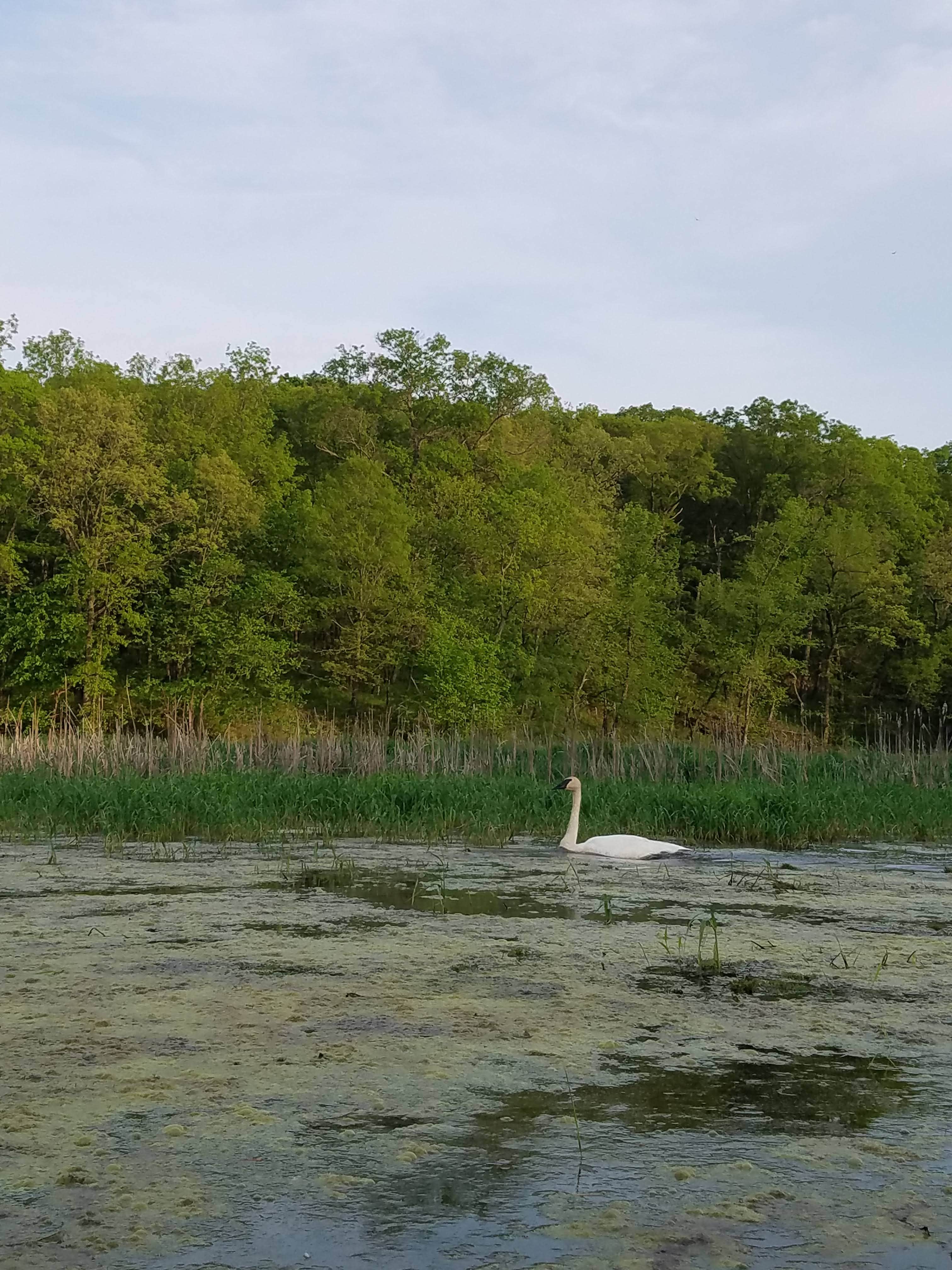 Camper-submitted photo at Lake Wapello State Park Campground near Drakesville, IA