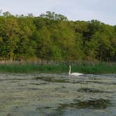 Review photo of Lake Wapello State Park Campground by Molly L., May 20, 2019