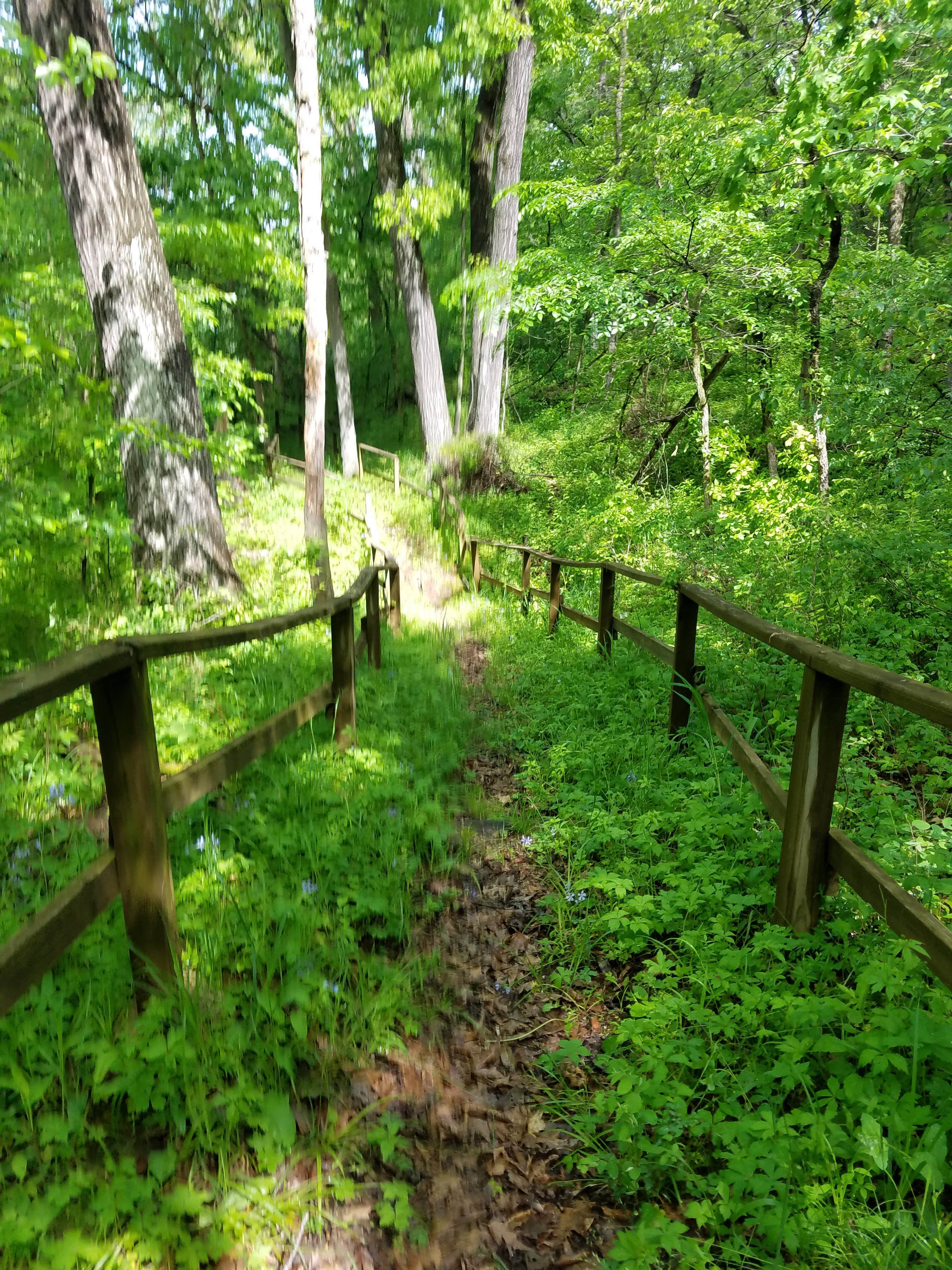 Camper submitted image from Lake Wapello State Park Campground - 5