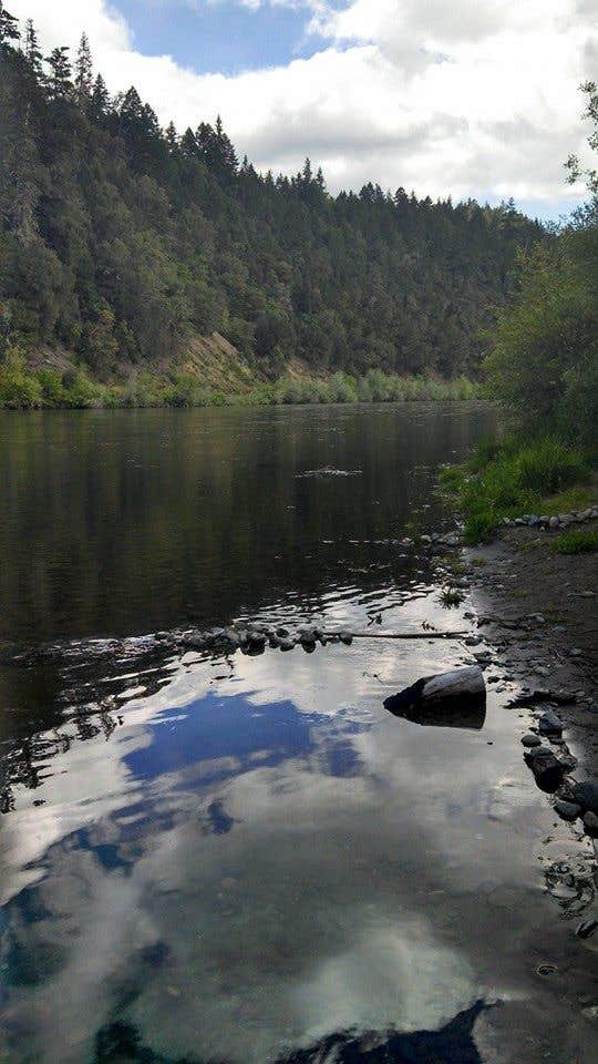 Camper submitted image from Griffin Park - 4