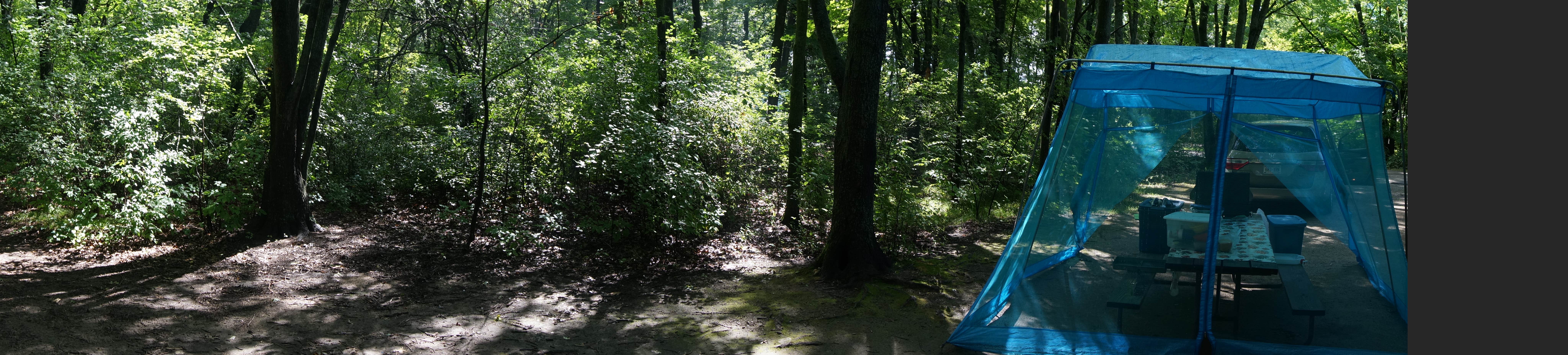 Camper submitted image from Hartman Creek State Park Campground - 4