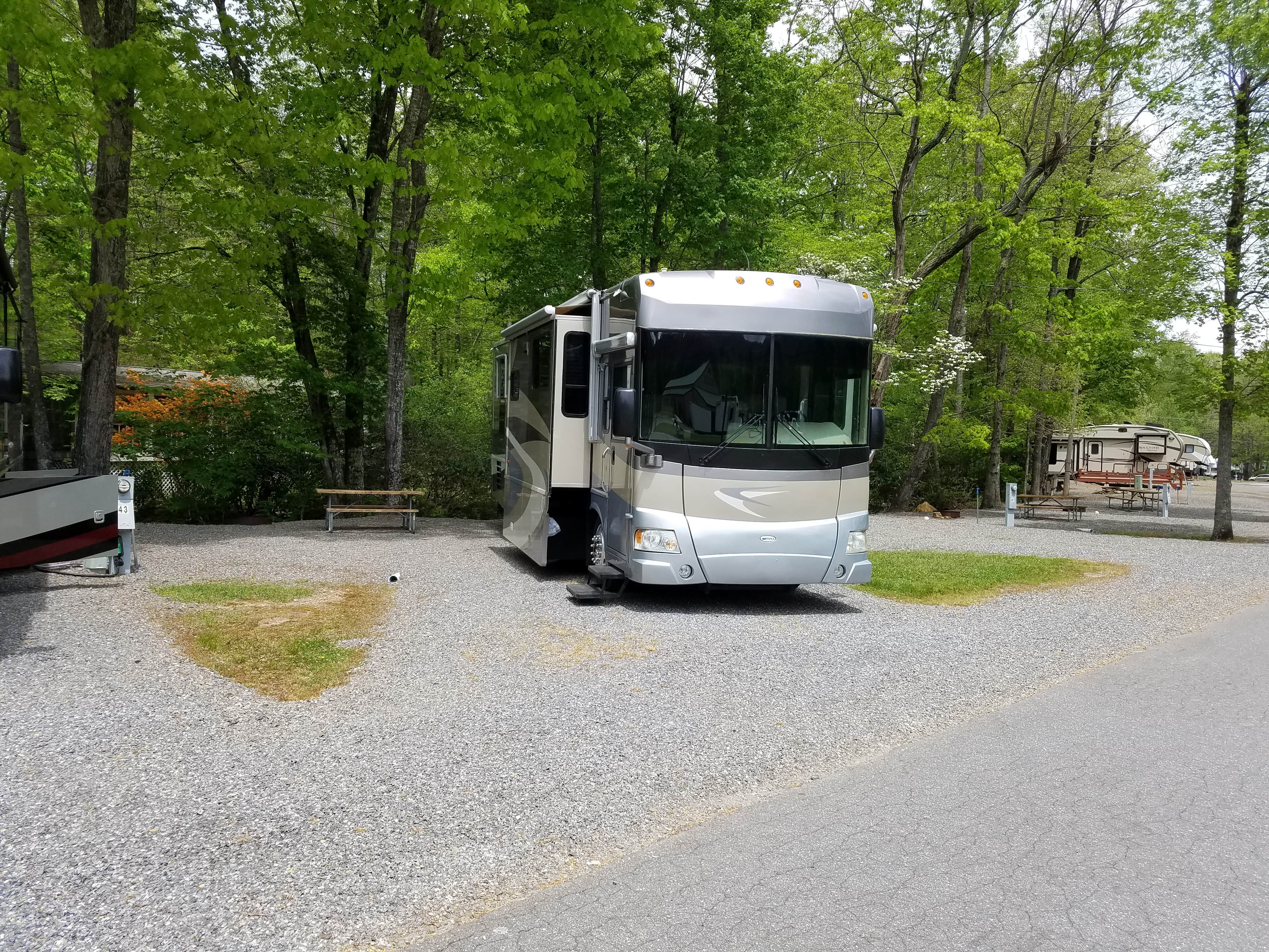 Camper submitted image from Bald Mountain Camping Resort - 3