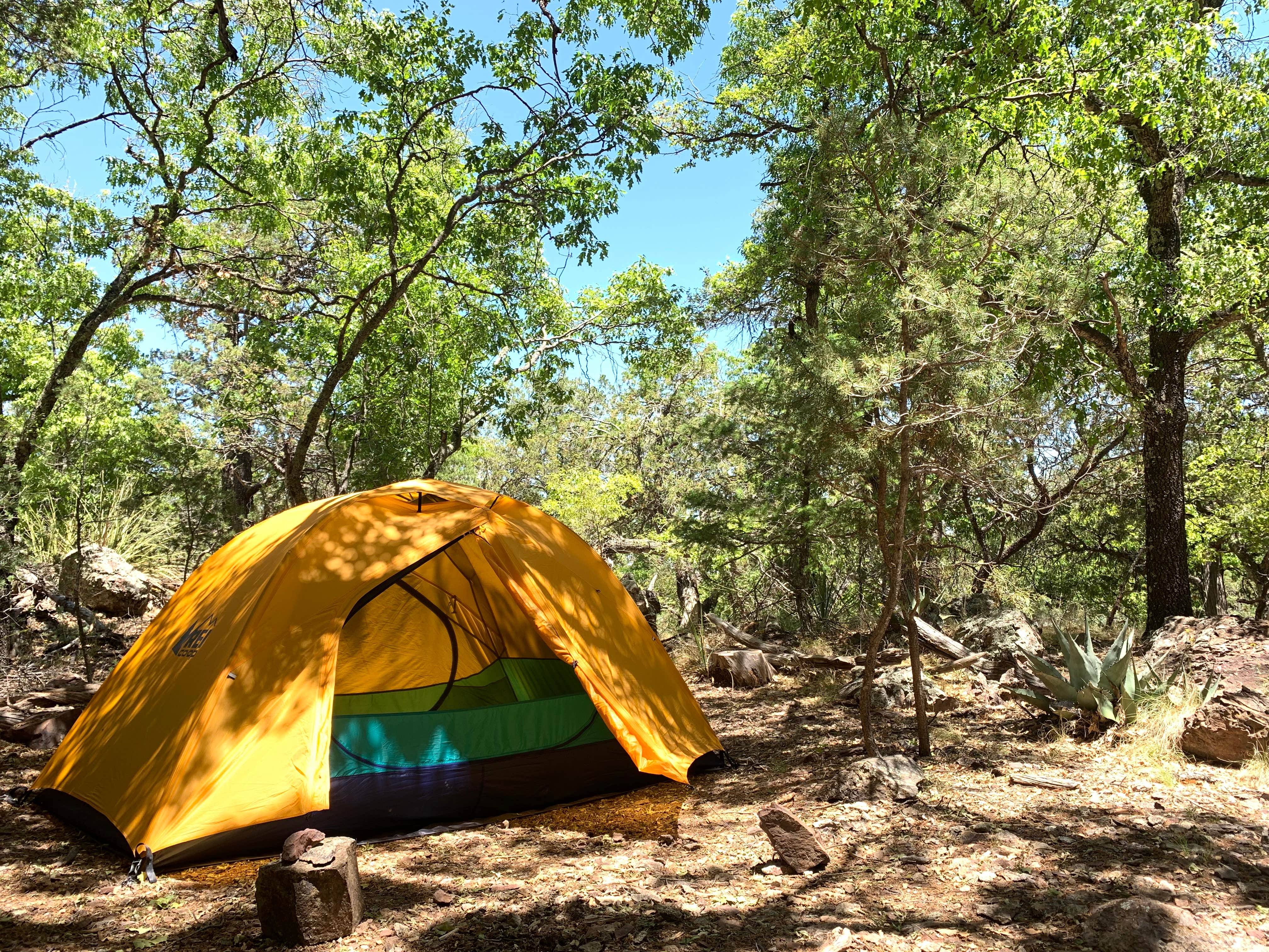 Michael C.'s photo at Chisos Basin Campground (Big Bend, Tx) — Big Bend National Park near Big Bend National Park