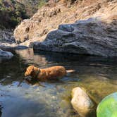 Review photo of Arroyo Seco by Corrie G., May 21, 2019