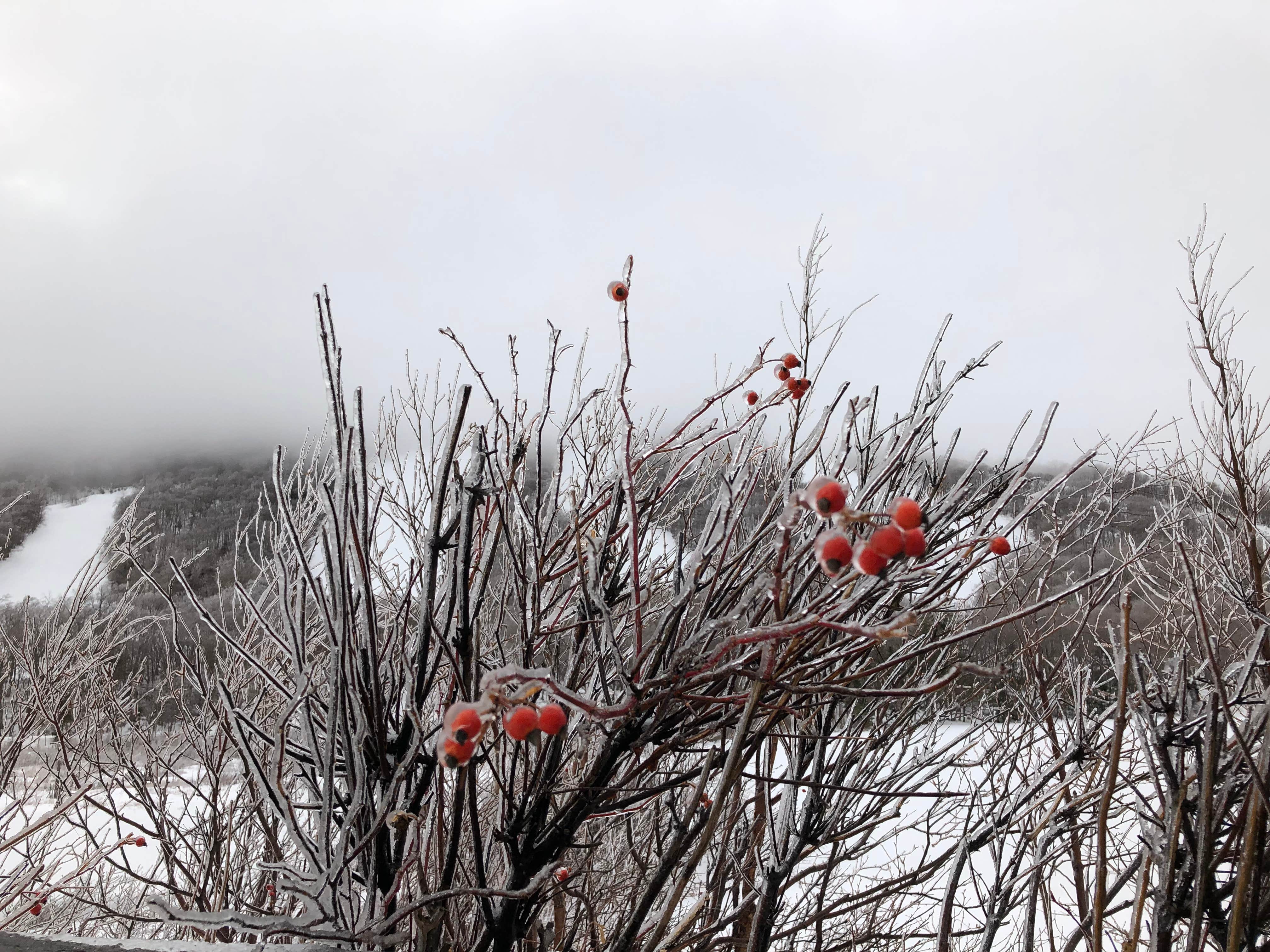 Camper-submitted photo at Cannon Mountain RV Park — Franconia Notch State Park near Barre, VT