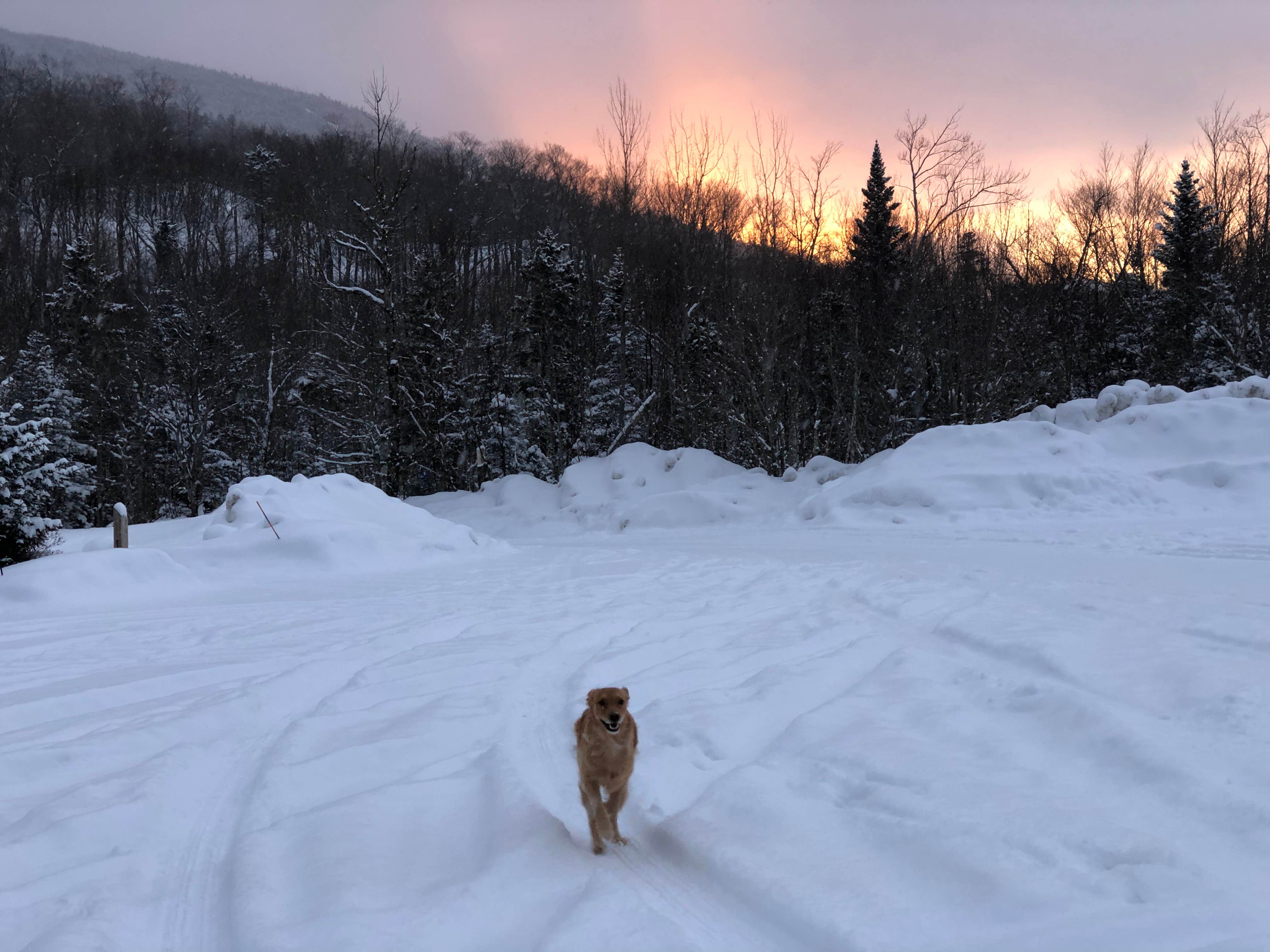 Camper-submitted photo at Cannon Mountain RV Park — Franconia Notch State Park near Barre, VT