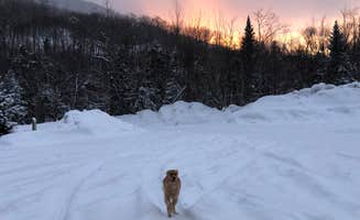 Corrie G.'s photo of camping with pets at Cannon Mountain RV Park — Franconia Notch State Park near St. Johnsbury, VT