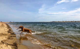 Corrie G.'s photo of camping with pets at Beach Rose RV Park near Rockport, MA