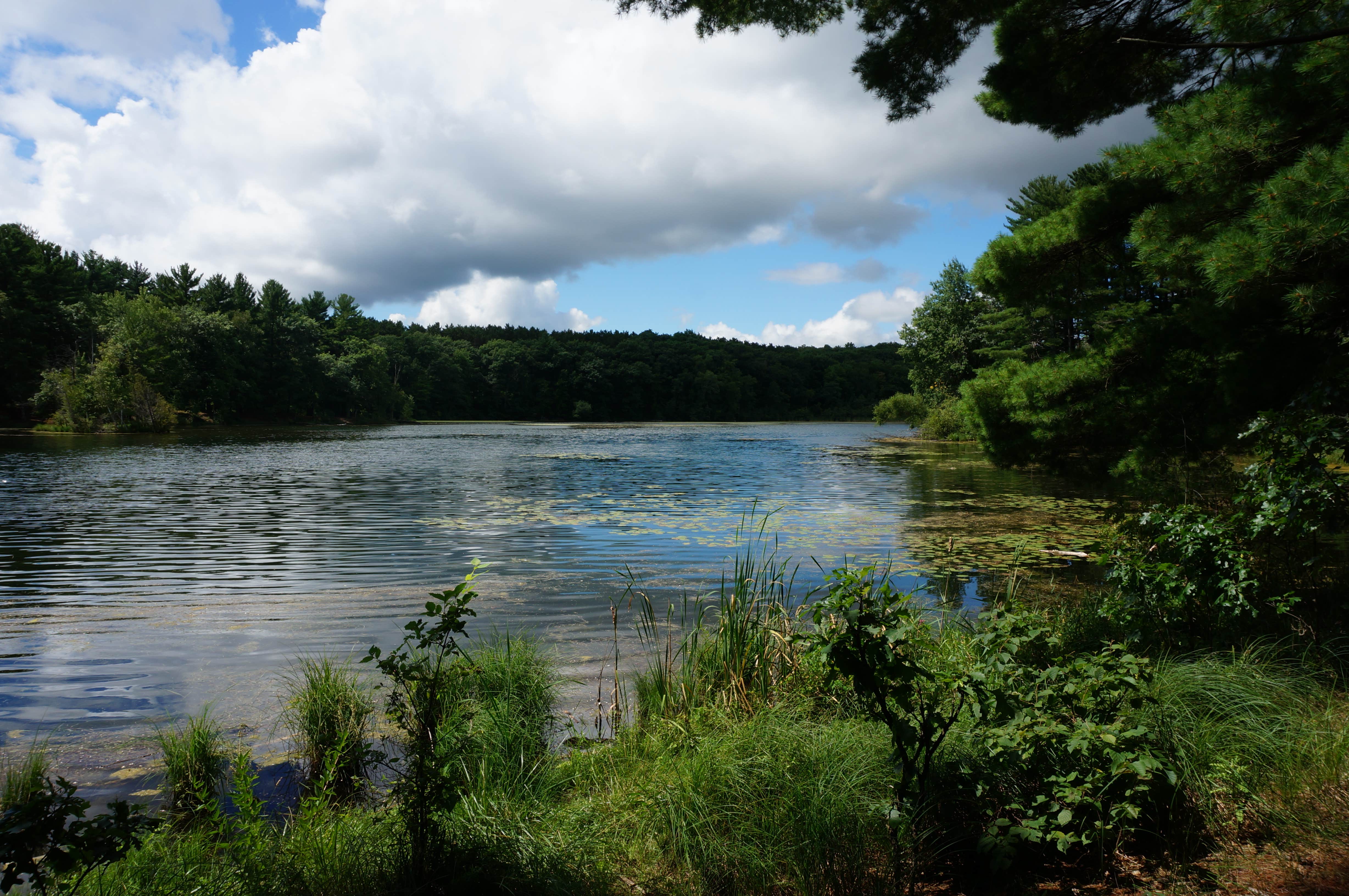 Camper-submitted photo at Hartman Creek State Park Campground near Iola, WI